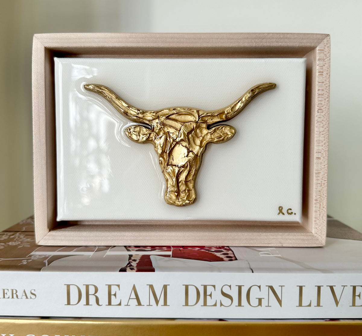 Gameday Texture Longhorn 4x6 (framed)