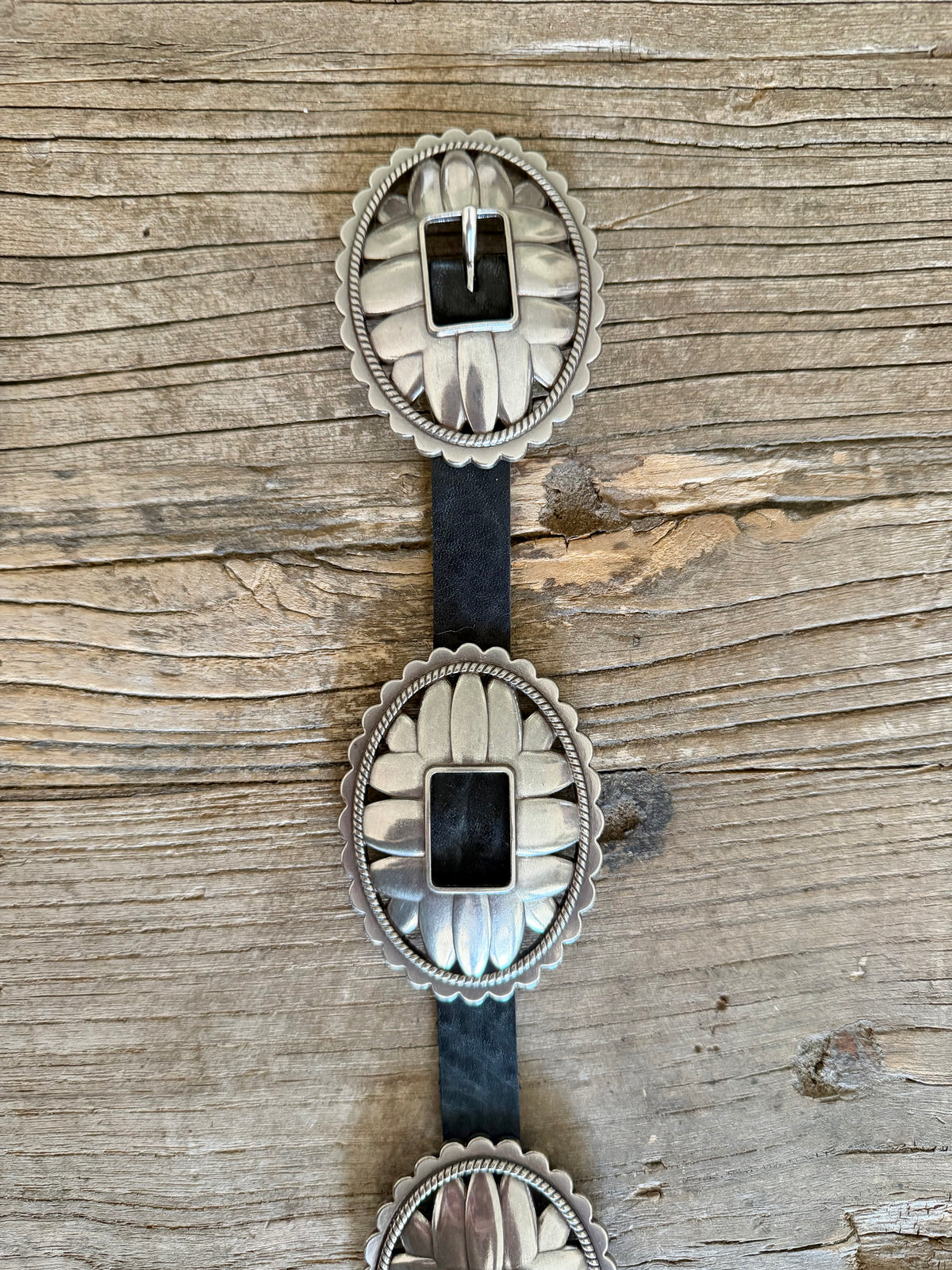 The WILDFLOWER Concho Belt (Black)