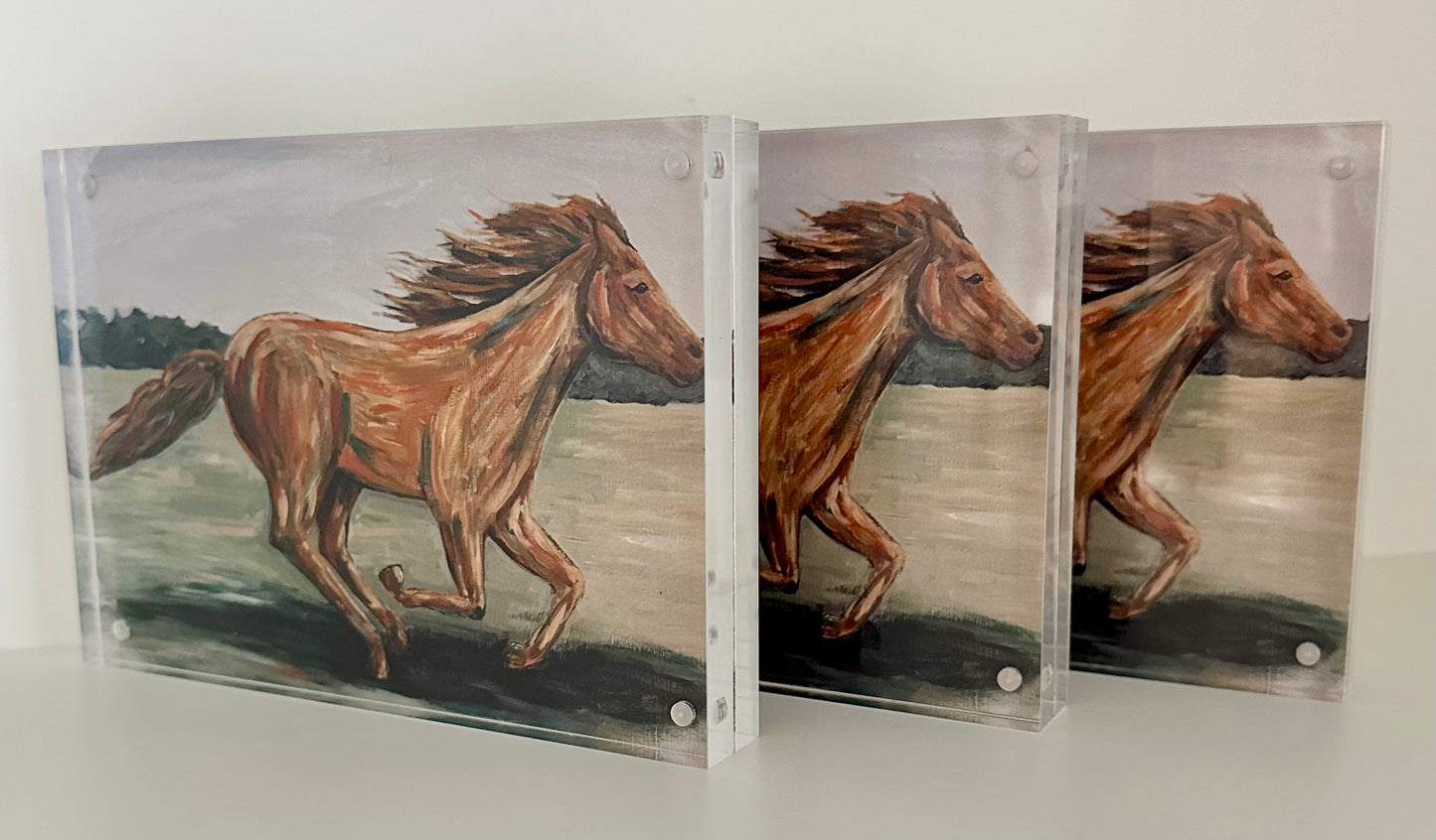 “Be Strong and Courageous” Horse Acrylic Block 5x7