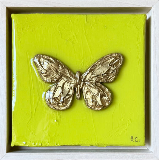 Textured Butterfly 6x6 (framed)