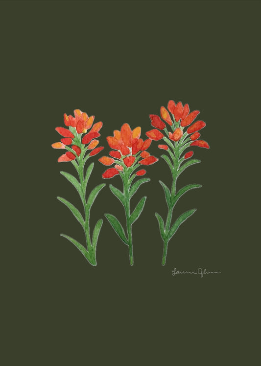 “Indian Paintbrush” signed print 5x7