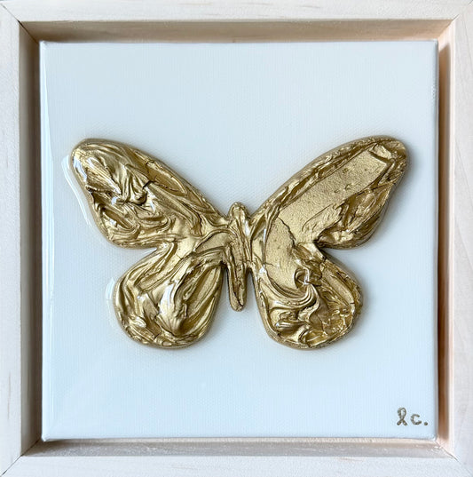 Textured Butterfly 6x6 (framed)