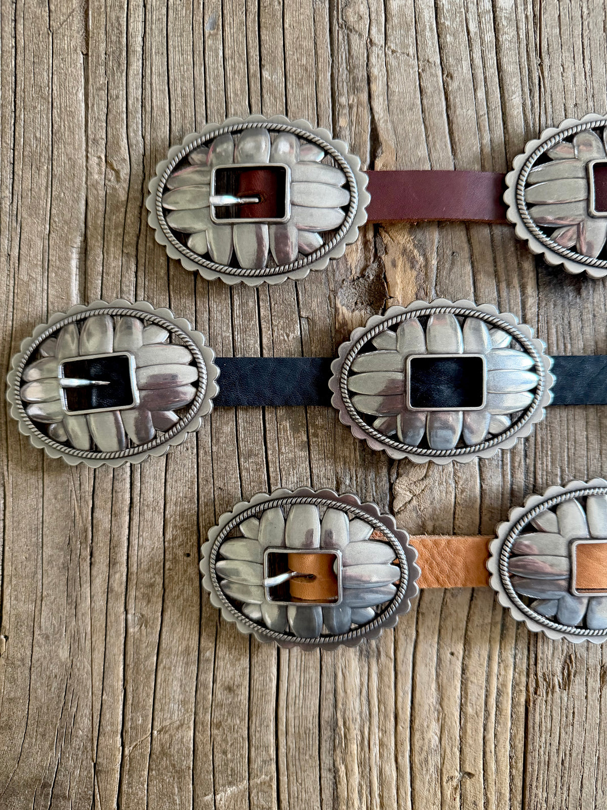 The WILDFLOWER Concho Belt (Brown)