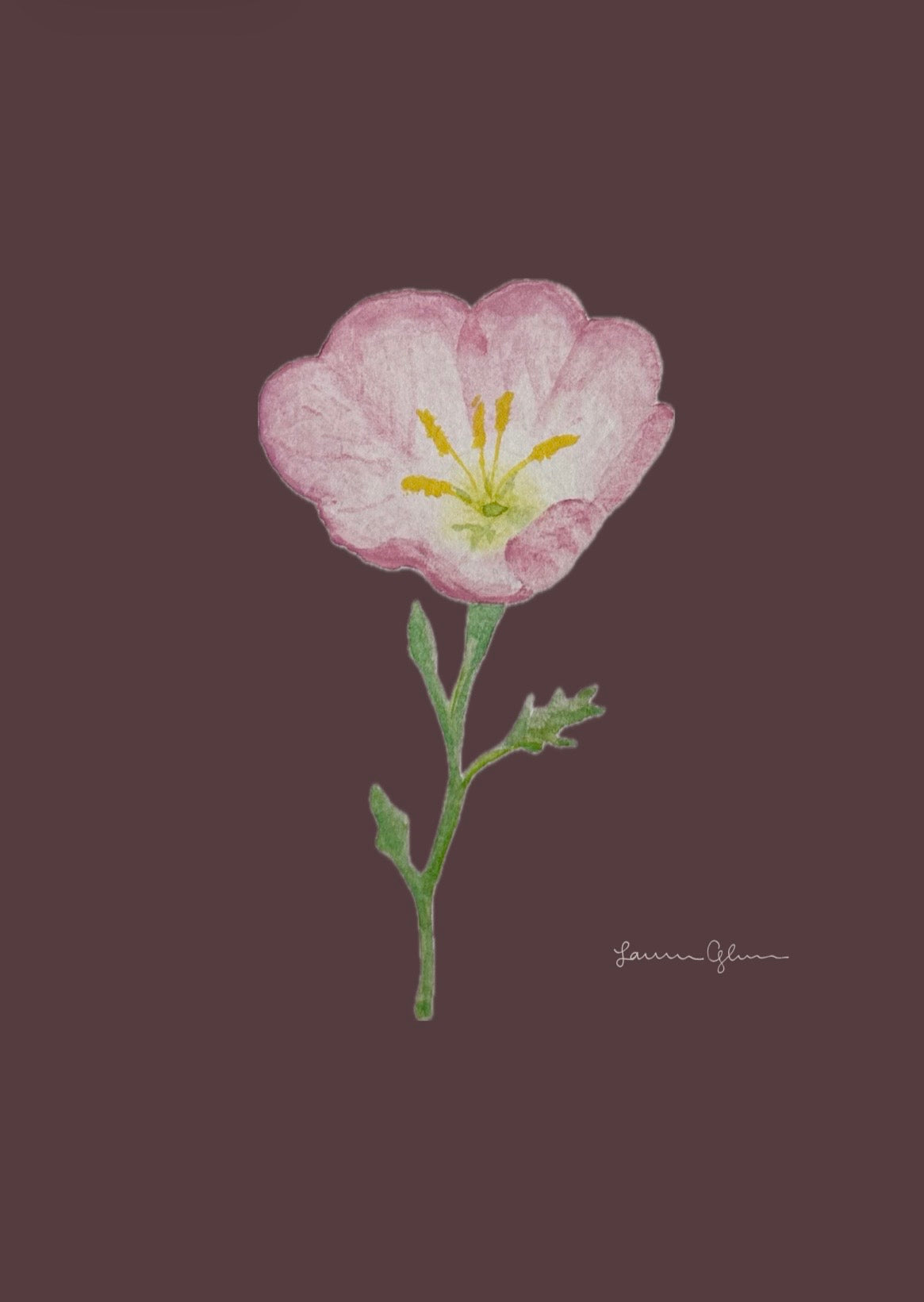 “Texas Primrose” signed print 5x7