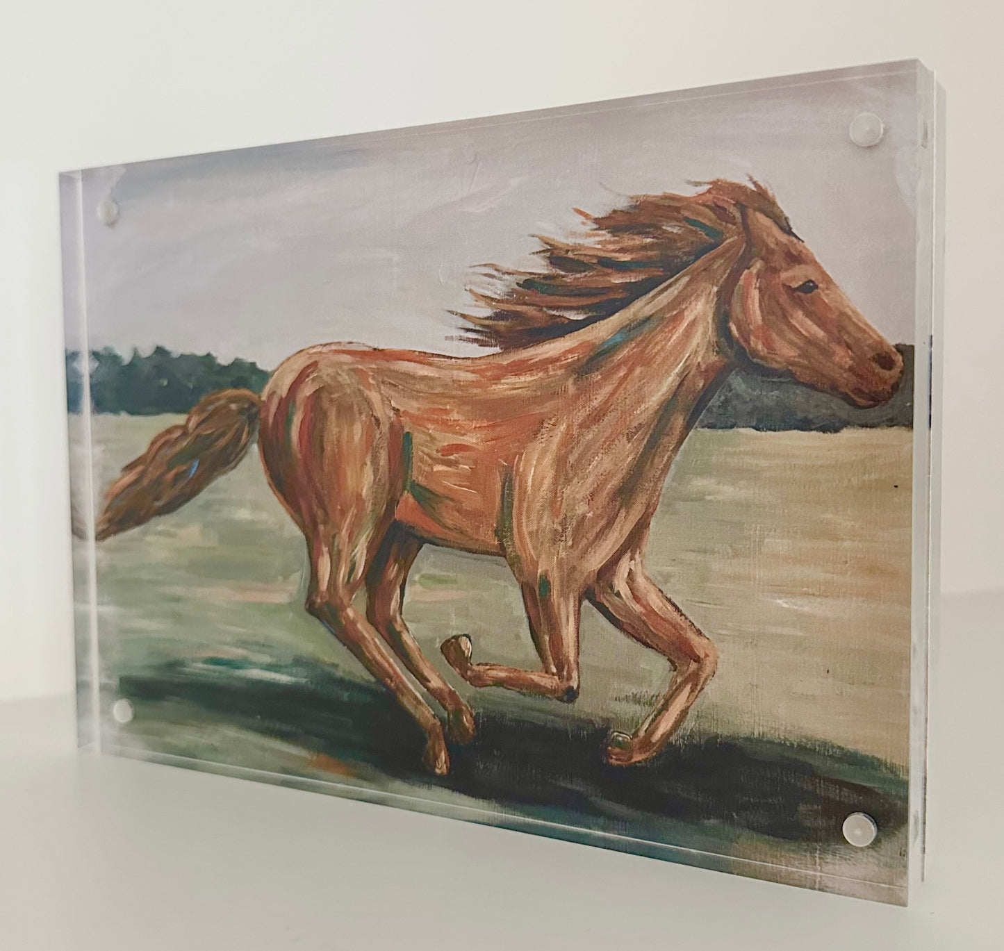 “Be Strong and Courageous” Horse Acrylic Block 5x7