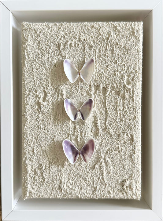 Textured Butterfly Seashells 4x6 (framed)