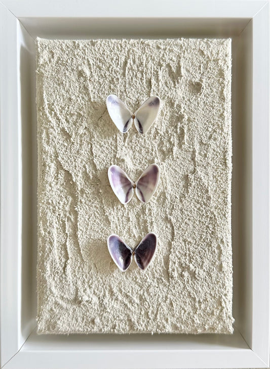 Textured Butterfly Seashells 4x6 (framed)