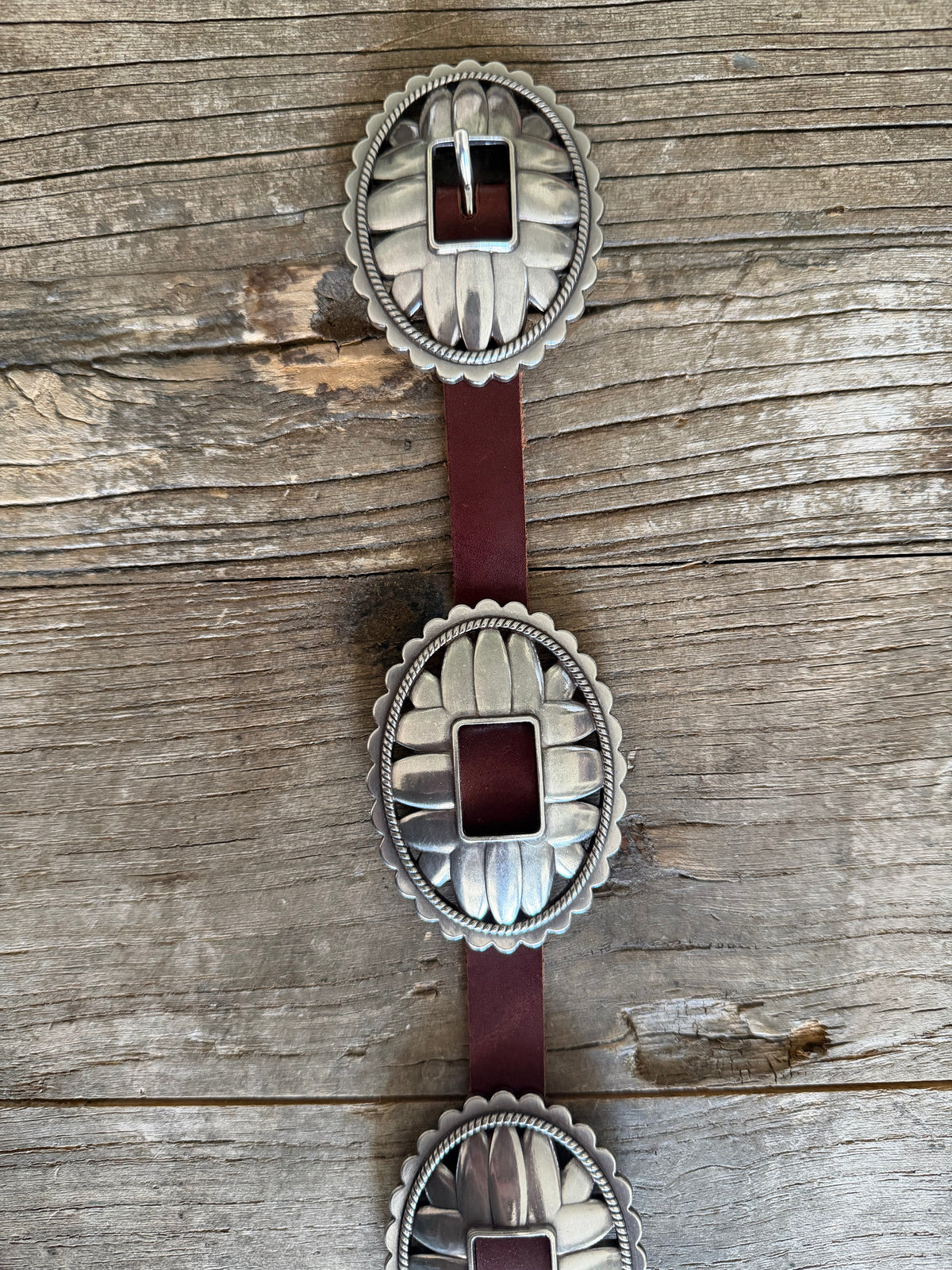 The WILDFLOWER Concho Belt (Brown)